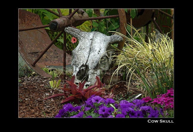 images/watermarked/VerticalDreams/p08.jpg
